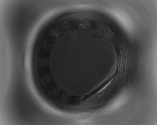 X0000093460383200710121411