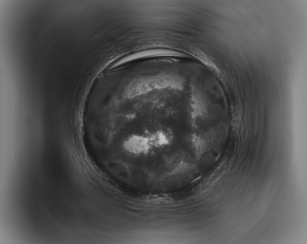 X0000093460386200710121410