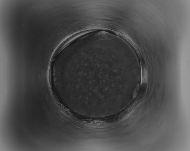 X0000093460387200710121410