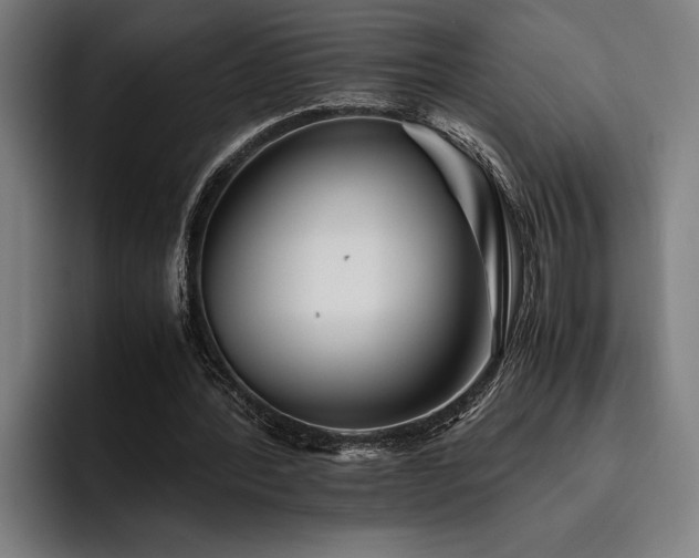 X0000093460388200710121410