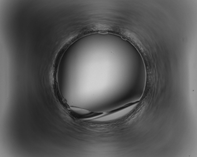 X0000093460395200710121410