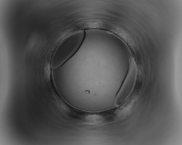 X0000093460397200710121410