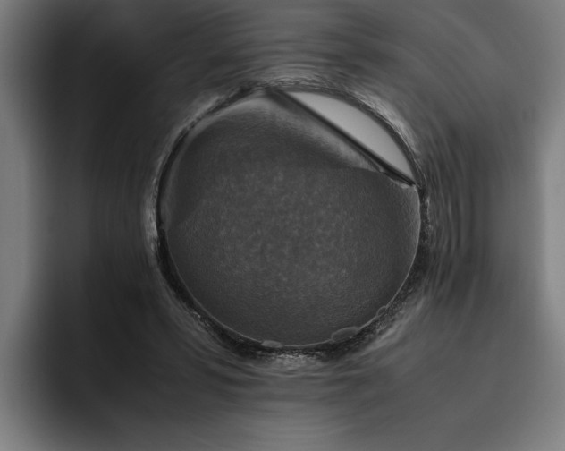 X0000093460399200710121410