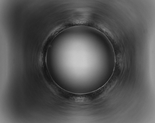 X0000093460400200710121410