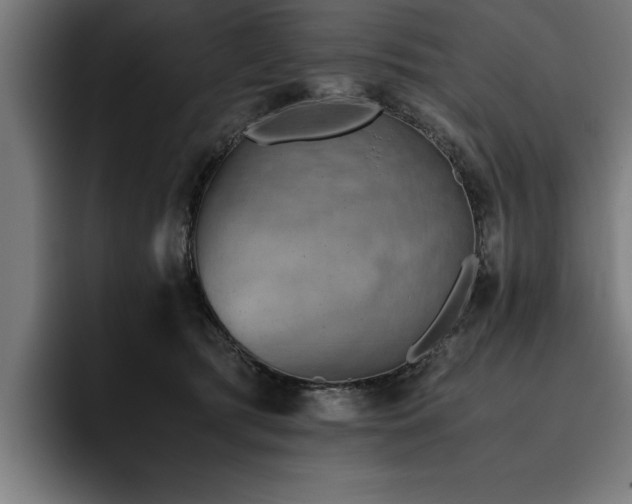 X0000093460417200710121410