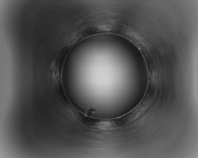 X0000093460418200710121410