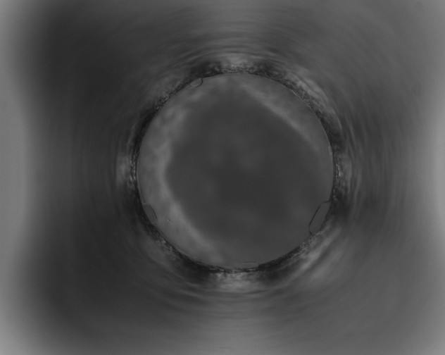 X0000093460419200710121410