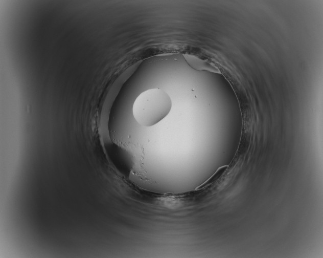 X0000093460425200710121410