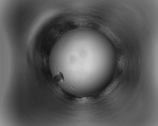 X0000093460430200710121410