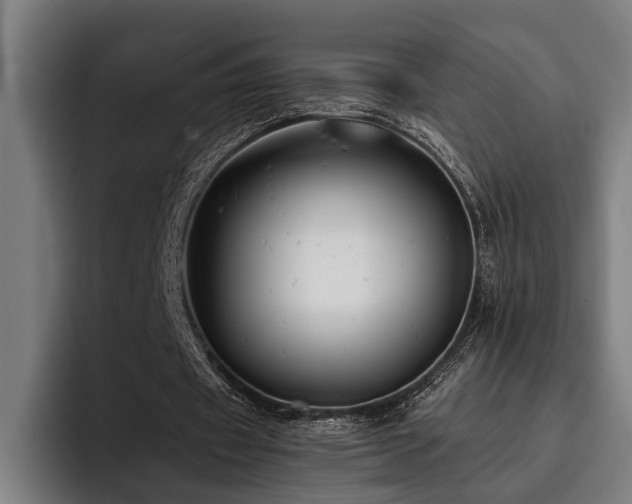 X0000093460433200710121409