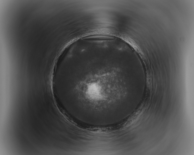 X0000093460434200710121409