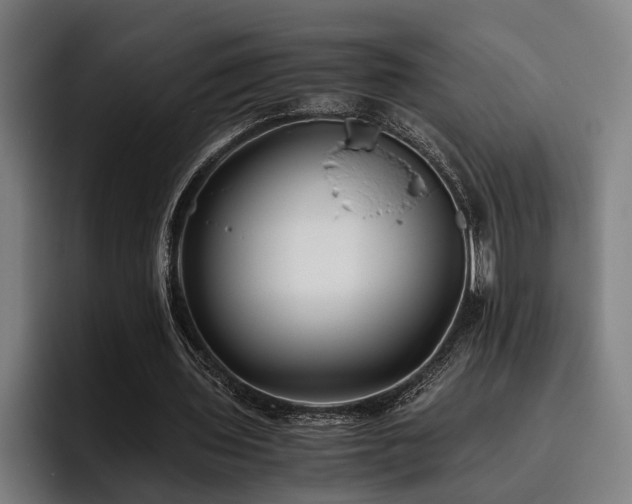 X0000093460435200710121409