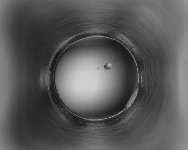 X0000093460436200710121409