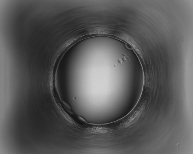 X0000093460437200710121409