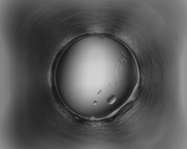 X0000093460439200710121409