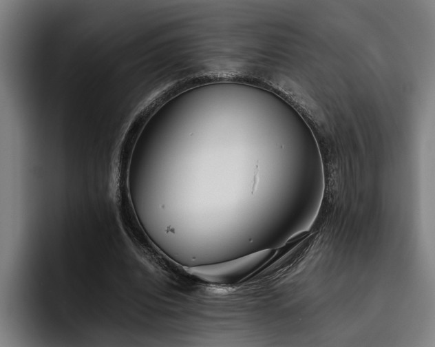 X0000093460440200710121409