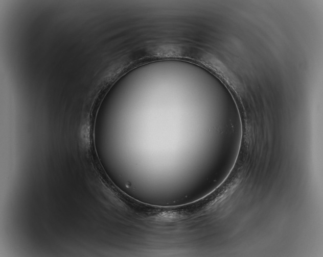 X0000093460441200710121409