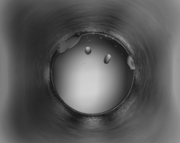 X0000093460445200710121409