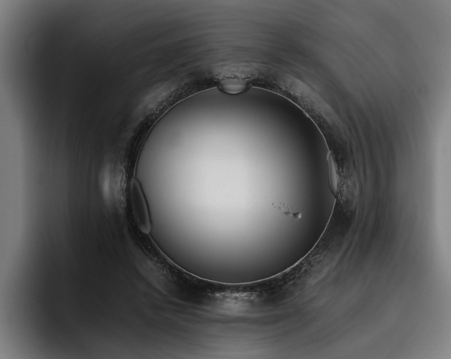 X0000093460448200710121409