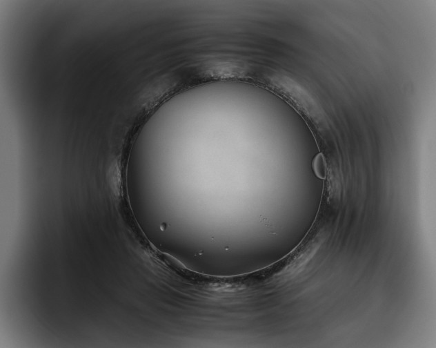 X0000093460453200710121409