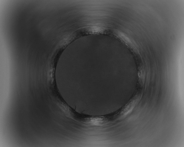 X0000093460462200710121409