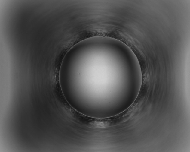 X0000093460464200710121409