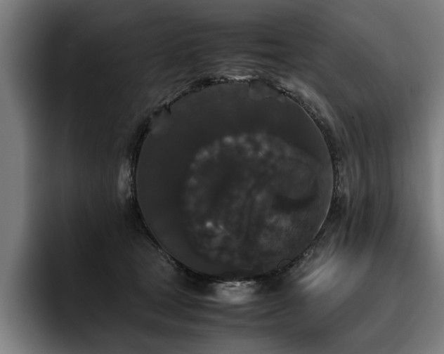 X0000093460465200710121409