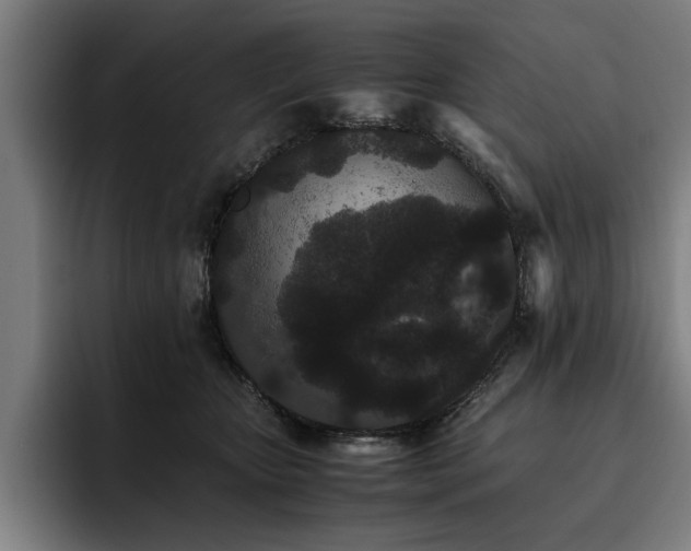 X0000093460467200710121409