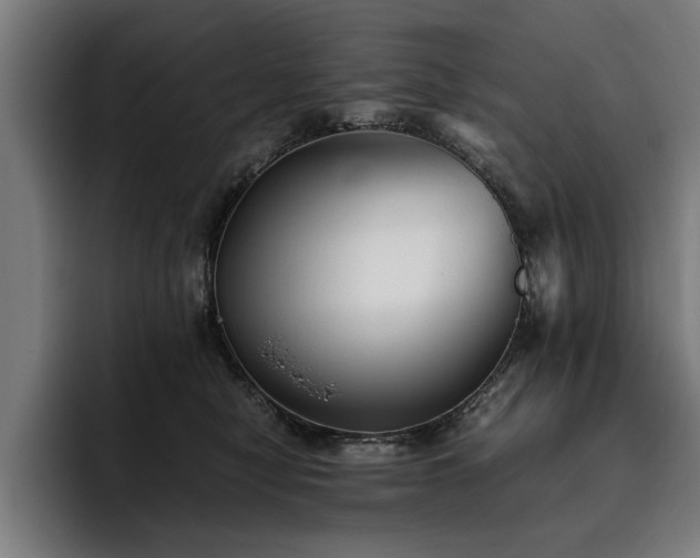 X0000093460470200710121409