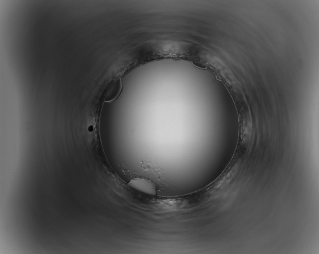 X0000093460473200710121409