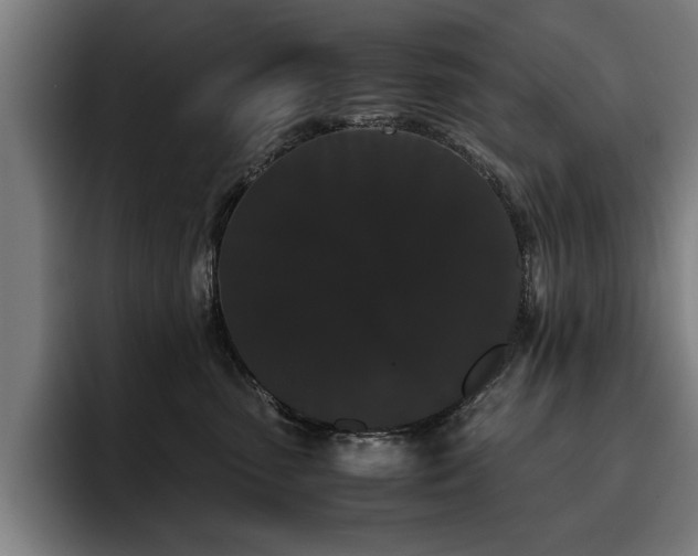 X0000093460475200710121409