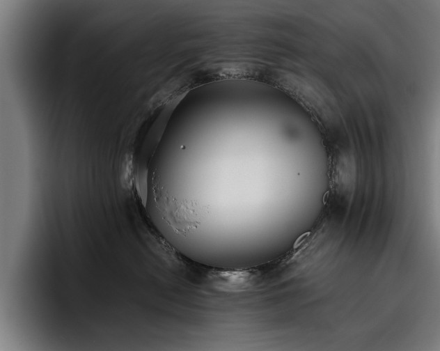 X0000093460478200710121410