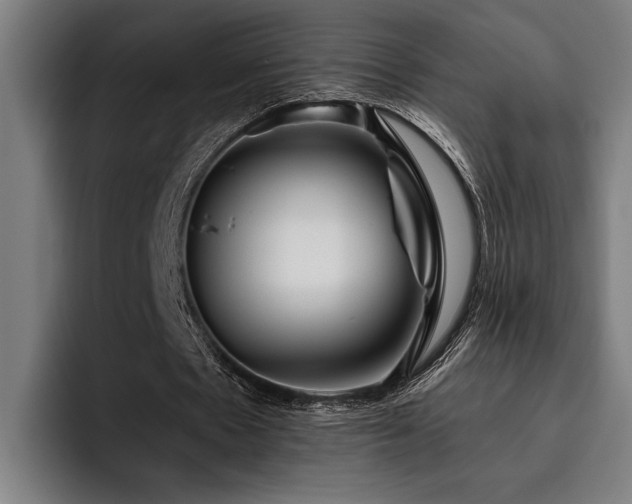 X0000093460481200710121409