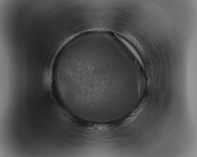 X0000093460484200710121409