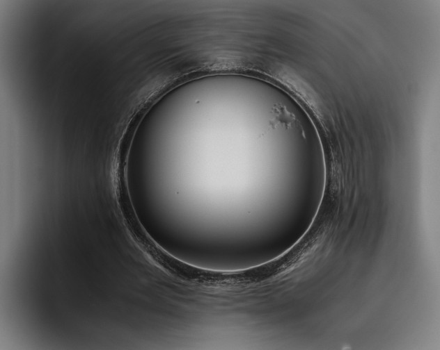 X0000093460485200710121409