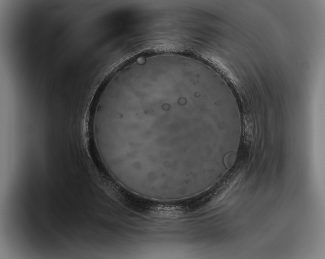 X0000093460487200710121409