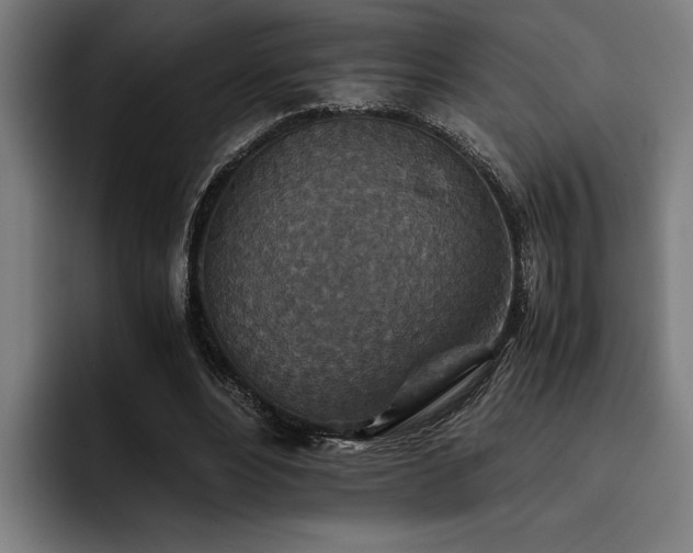 X0000093460488200710121409