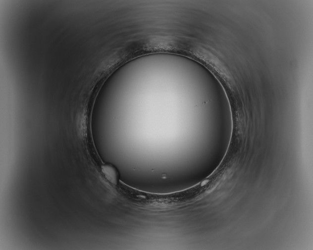 X0000093460489200710121409