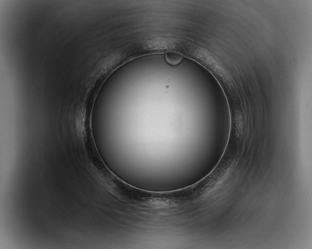 X0000093460490200710121409