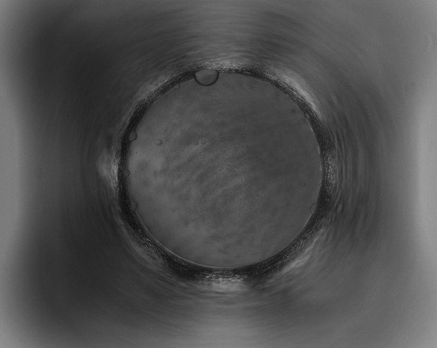 X0000093460491200710121409