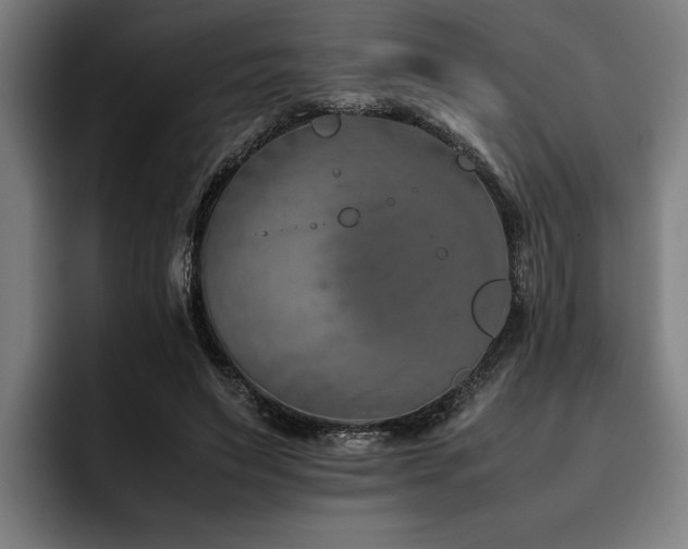 X0000093460495200710121409