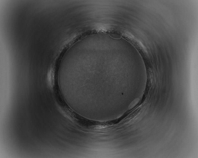 X0000093460496200710121409