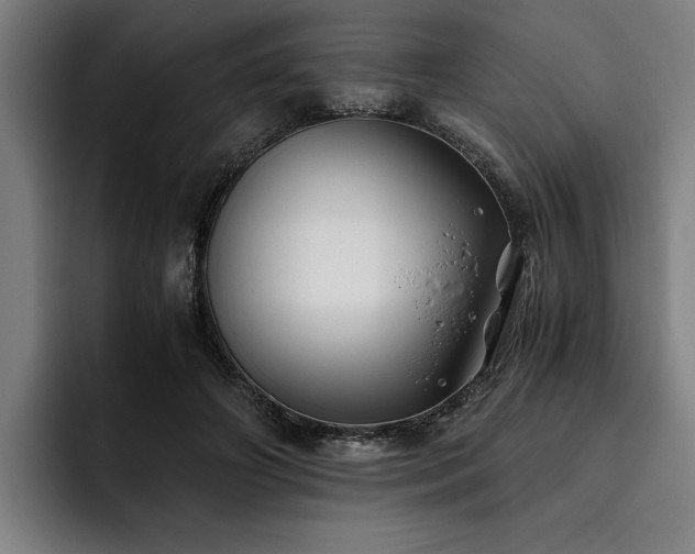 X0000093460498200710121409