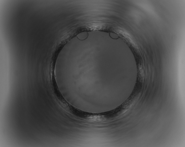 X0000093460499200710121409