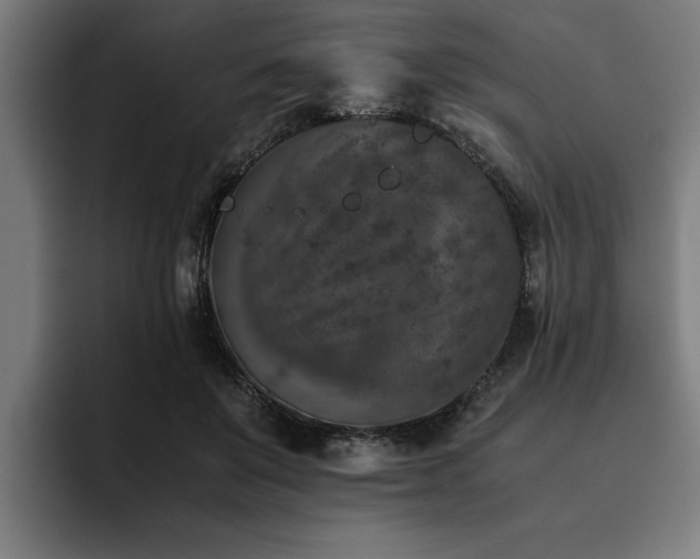 X0000093460503200710121409