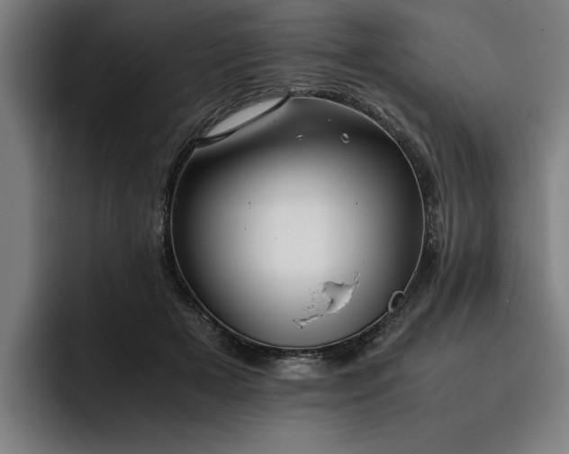 X0000093460505200710121409