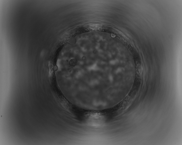 X0000093460507200710121409