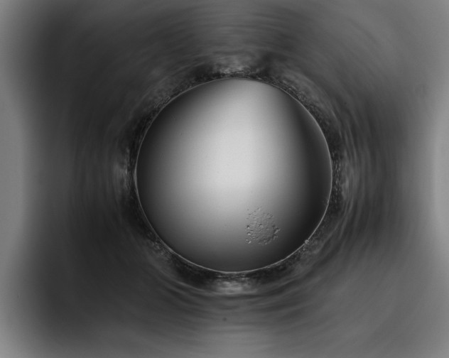 X0000093460510200710121409