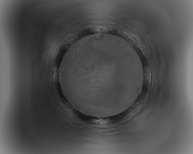 X0000093460511200710121409