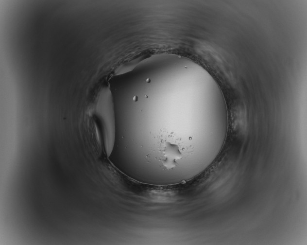 X0000093460515200710121409